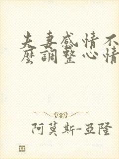 夫妻感情不好怎么调整心情的