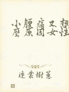 小腹痛又想吐什么原因女性