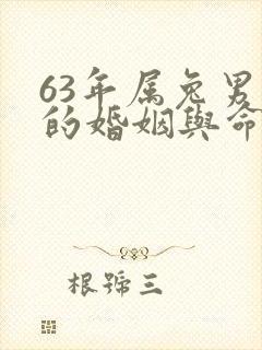 63年属兔男人的婚姻与命运封面