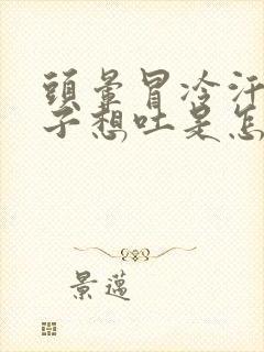 头晕冒冷汗拉肚子想吐是怎么回事