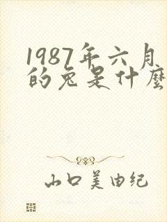 1987年六月的兔是什么命运封面