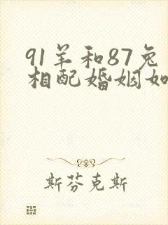 91羊和87兔相配婚姻如何