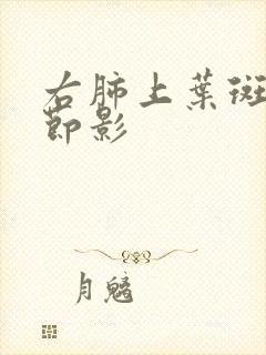 右肺上叶斑片结节影