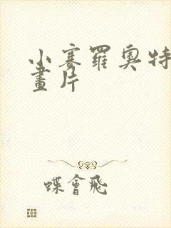 小赛罗奥特曼动画片