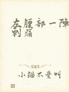 左腹部一阵一阵刺痛