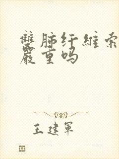 双肺纤维索条影严重吗