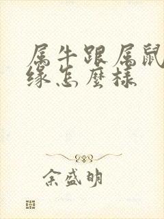 属牛跟属鼠的姻缘怎么样