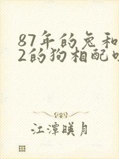 87年的兔和82的狗相配吗