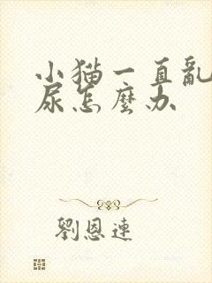 小猫一直乱拉乱尿怎么办