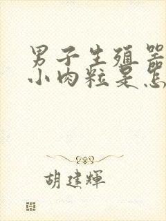 男子生殖器上有小肉粒是怎么回事