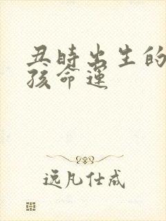 丑时出生的猴男孩命运封面