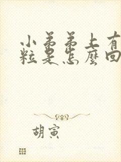 小弟弟上有小肉粒是怎么回事