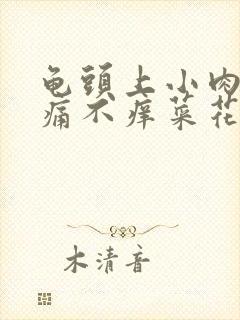 龟头上小肉粒不痛不痒菜花形的