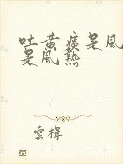 吐黄痰是风寒还是风热