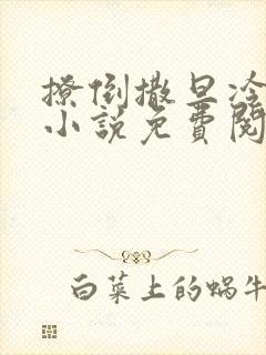 撩倒撒旦冷殿下小说免费阅读全文封面