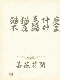 猫猫为什么突然不在猫砂盆拉屎拉尿了封面