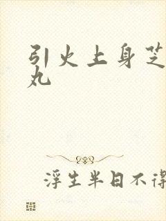 引火上身芝麻糖丸