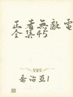 正者无敌电视剧全集45