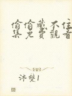 偷偷藏不住40集免费观看