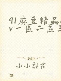 91麻豆精品av一区二区三区在线