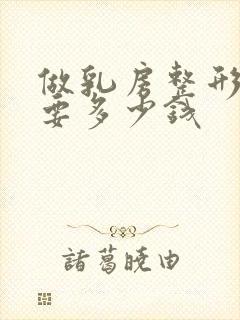 做乳房整形手术要多少钱