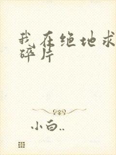 我在绝地求生捡碎片