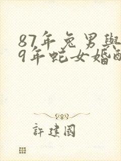 87年兔男与89年蛇女婚配合适吗封面