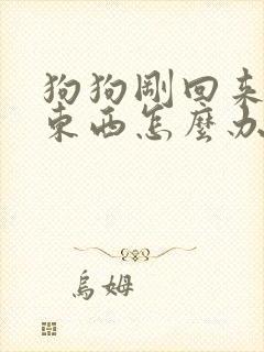 狗狗刚回来不吃东西怎么办