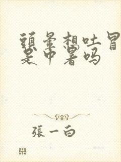 头晕想吐冒冷汗是中暑吗封面