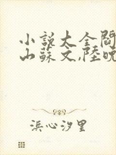 小说大全阎王下山苏文,陆晚风