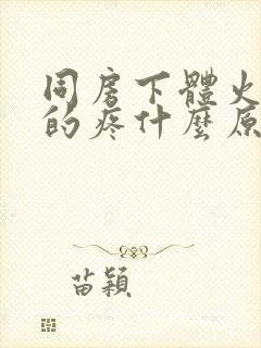 同房下体火辣辣的疼什么原因