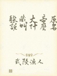 躲藏大帝原著小说叫什么名字