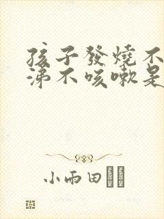 孩子发烧不流鼻涕不咳嗽是什么原因