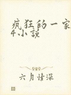 疯狂的一家ps4小说