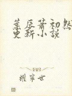 叶辰萧初然最新更新小说