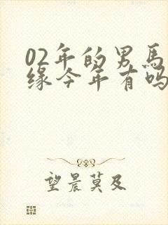 02年的男马姻缘今年有吗