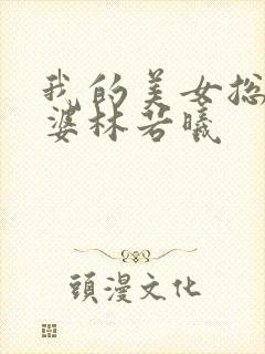 我的美女总裁老婆林若曦封面