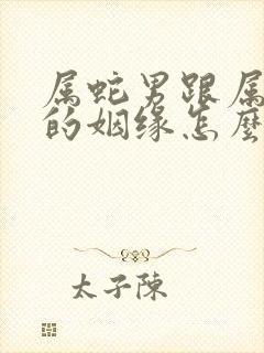 属蛇男跟属鼠女的姻缘怎么样封面