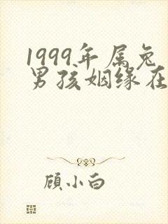 1999年属兔男孩姻缘在哪
