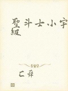 圣斗士小宇宙等级