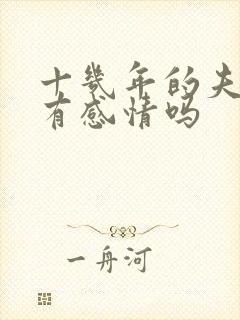 十几年的夫妻还有感情吗封面