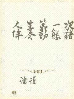 人生第一次g调伴奏动态谱