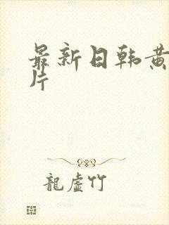 最新日韩黄色淫片