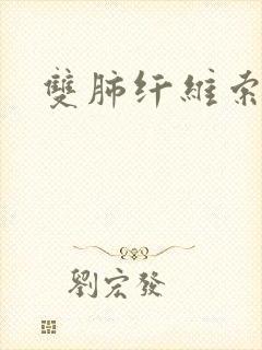 双肺纤维索条影