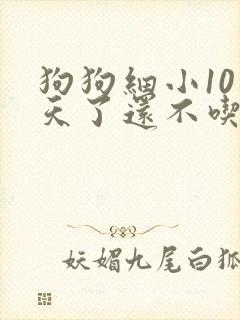 狗狗细小10多天了还不吃东西