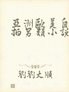 亚洲欧美自偷自拍另类小说