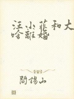 汪小菲和大s为啥离婚封面