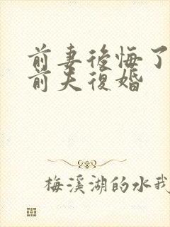 前妻后悔了来找前夫复婚