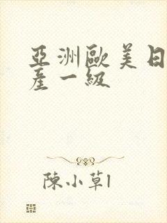 亚洲欧美日韩国产一级