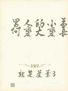男人的小弟弟如何变大变长封面